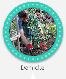 Domicile